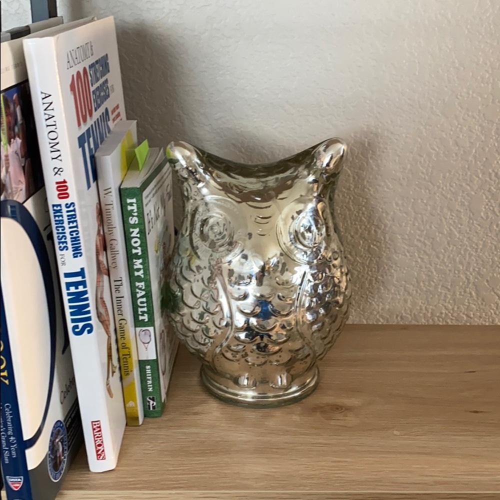 COPY - Home Goods Owl Decor